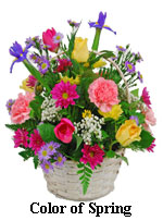 Basket arrangement filled with all the colors of spring