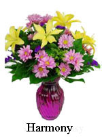  The name says it all, “Harmony”. This richly colored purple glass vase is filled with bright yellow Asiatic lilies, lavender spray daisies, with yellow solid ago, purple statice, and mixed greens. Call today, and your gift of kindness will be on it’s way. 