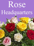 LaRosa's Flowers delivers Roses in O'fallon,Belleville,Shiloh,Swansea,Fairview Heights,Lebanon, IL