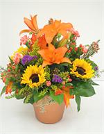 Classic Thanksgiving centerpiece with all the colors of the season