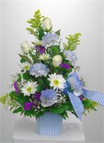 It's a boy, welcome him and send congratulations to the proud parents with our 