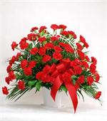 Our Basket Of Comfort is a rich display of the love shared throughout the life of the deceased. Brilliant red carnations are elegantly displayed in a white handle plastic basket  and accented with lush greens and red satin ribbon to create a beautiful tri