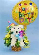 Celebrate a birthday with our “Birthday Pal”. This charming dog shaped arrangement is all dressed up with party hat and ribbons and his own party horn. And just so you know it’s a birthday, this design come complete with a happy birthday mylar balloon. Le