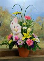 No one can resist the charm of this darling Easter Bunny. Our smiling bunny comes with a  mixture of pink carnations, lavender and white daisies with yellow Asiatic lilies, purple statice, yellow solid ago, baby breath, mixed greens and lily grass. Wit