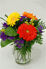 Three bold and bright gerbera dasies arranged in a glass vase with golden yellow solidago, purple statice and mixed greenery. Colors may vary.