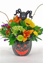 Scare up some Halloween fun with our 