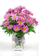 Arrange in a glass cube vase,  lavender daisies with mixed greens, baby breath and a flux butterfly. Someone not feeling well or birthday, anniversary, our “Butterfly and Daisies” is a sure way to let them know you are thinking of them. It never to lat