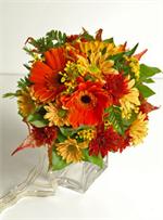 Bridal party bouquet with red gerbera, fall red mums with bronze colored daisies pomps, yellow wax flower and salal foliage.