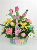 This colorful basket is filled with all of the colors of the season. Brightly colored tulips, yellow Asiatic lilies, with pink carnations, lavender spray daisies, purple statice, baby blue eucalyptus, yellow solid ago, white spray dasies, mixed greens, mi