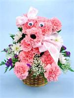No one can resist this charming little girl. Made with all pink carnations she is sure to bring a smile to all. With ribbons in her hair and a big pink bow necklace she’s ready for any occasion. Need your gift today? Call by 2 P.M and your gift will arriv