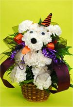 Send a Halloween Greeting with our 