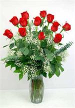 One Dozen Long Stem Red Premium Roses arranged in glass garden vase with million star gyp, baker fern, salal tips, and tree fern.