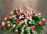 On angels wing is a casket piece designed with pink roses, white dendrobium orchids, white cymbidium orchids, and mixed greens.