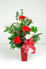 Red carnations and white mums are arranged in a red frosted glass vase with mixed holiday evergreens, pine cone, holly, baby eucalyptus, sunspring asters, with candy cane ribbons and a matching candy cane. Say “happy holidays” with our peppermint candy bo