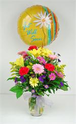 Our Perfect Prescription Plus is sure to lift their spirits. Our glass garden vase is filled with brightly colored gerbera daisies, asiatic lilies, yellow stems of solidago, golden yellow spray buttons, deep blue statics, alstroemerias, and mixed greens, 