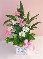 Welcome Mother and the new baby girl  home from the hospital with this  ceramic baby container filled with  mixed green plants and highlighted with pink carnations, white spray daisies and pink and white checker ribbon. Call by 2 P.M and your thoughtfulne