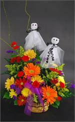 Who you gona a call? Delight your family and friends this Halloween with this delightful and colorful arrangement. Orange gerberas, red carnations, bronze and yellow spray daisies with purple statice, yellow solidago, curly willow and mixed greens are arr
